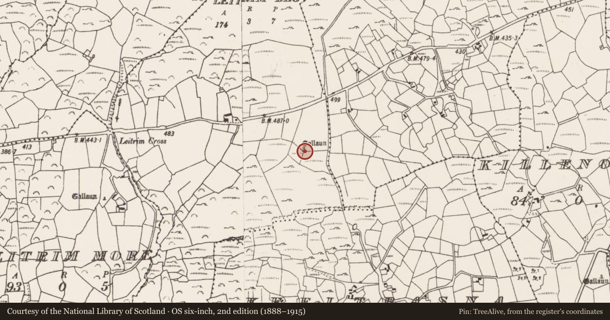 Ordnance Survey six-inch map, 2nd edition (1888–1915) covering the location of Standing stone, Leitrim Beg, County Cork, with a pin at the register's coordinates
