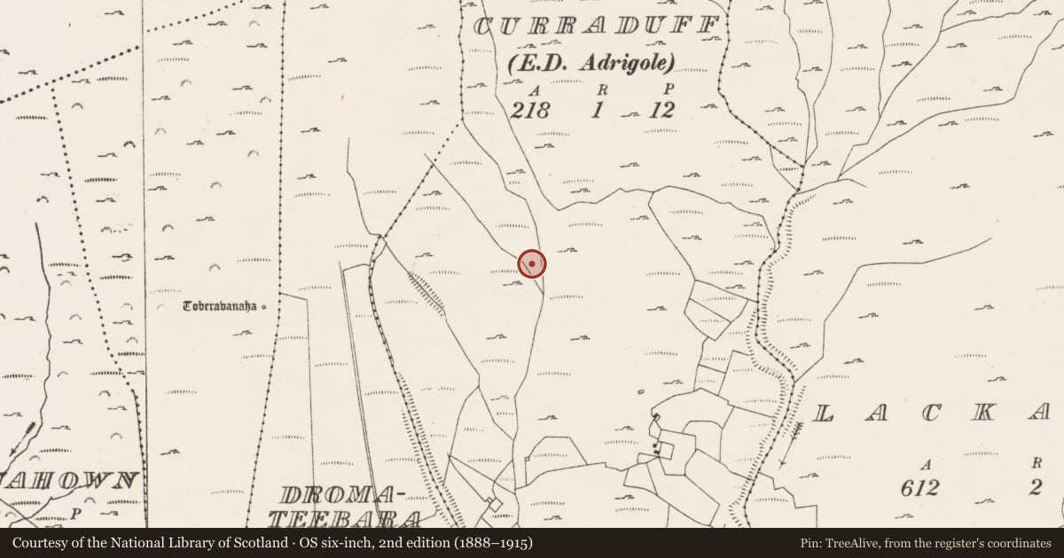 Ordnance Survey six-inch map, 2nd edition (1888–1915) covering the location of Hut site, Curraduff (Bear By., Kilcaskan Par.), County Cork, with a pin at the register's coordinates
