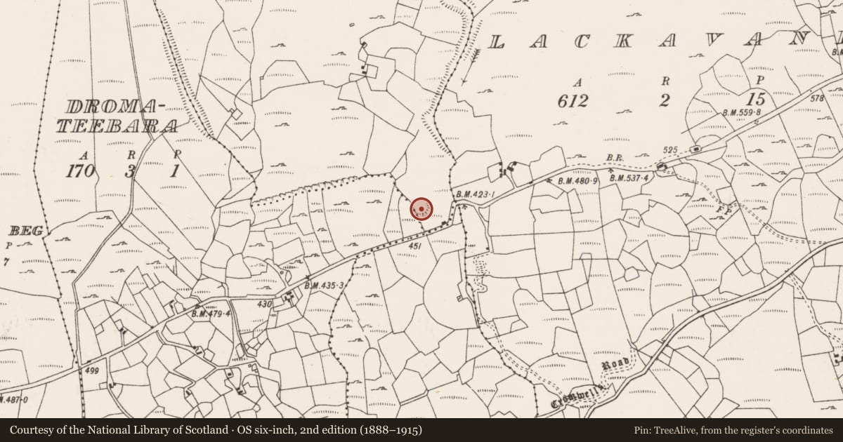 Ordnance Survey six-inch map, 2nd edition (1888–1915) covering the location of Ringfort - rath, Curraduff (Bear By., Kilcaskan Par.), County Cork, with a pin at the register's coordinates