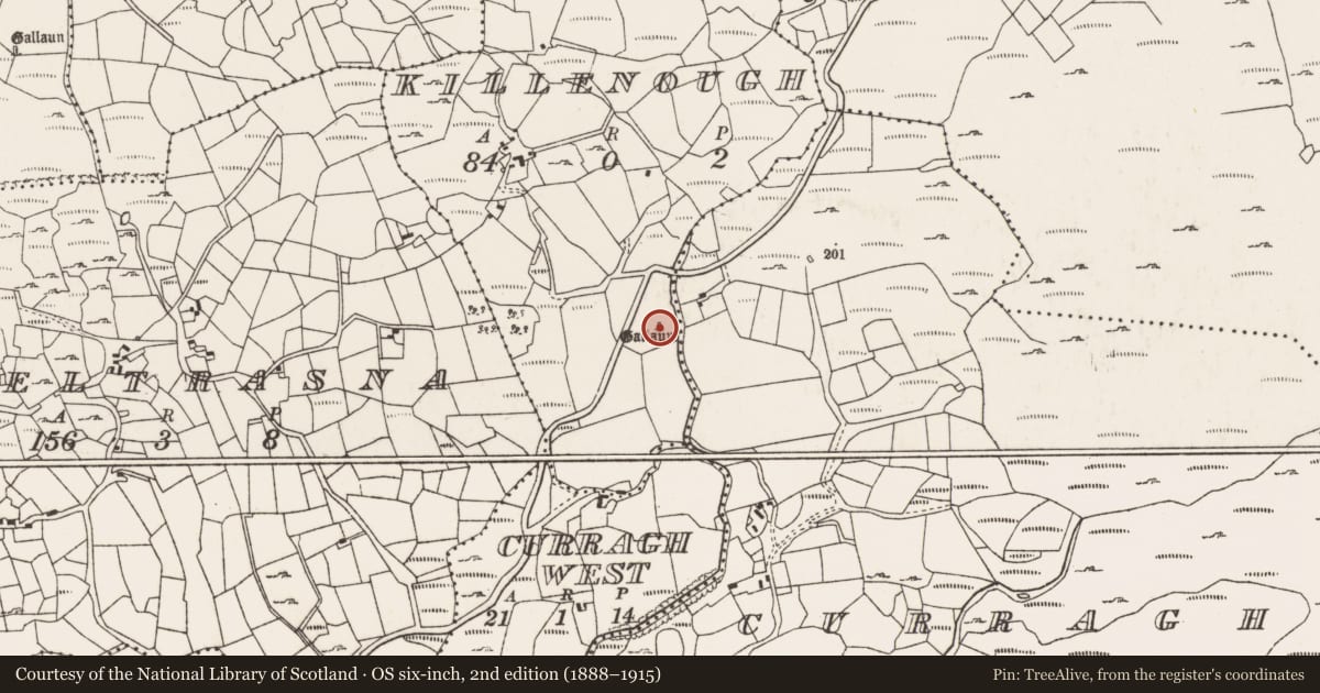 Ordnance Survey six-inch map, 2nd edition (1888–1915) covering the location of Standing stone, Killenough, County Cork, with a pin at the register's coordinates