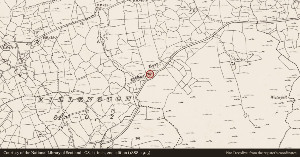 Ordnance Survey six-inch map, 2nd edition (1888–1915) covering the location of Road - road/trackway, Lackavane, County Cork, with a pin at the register's coordinates