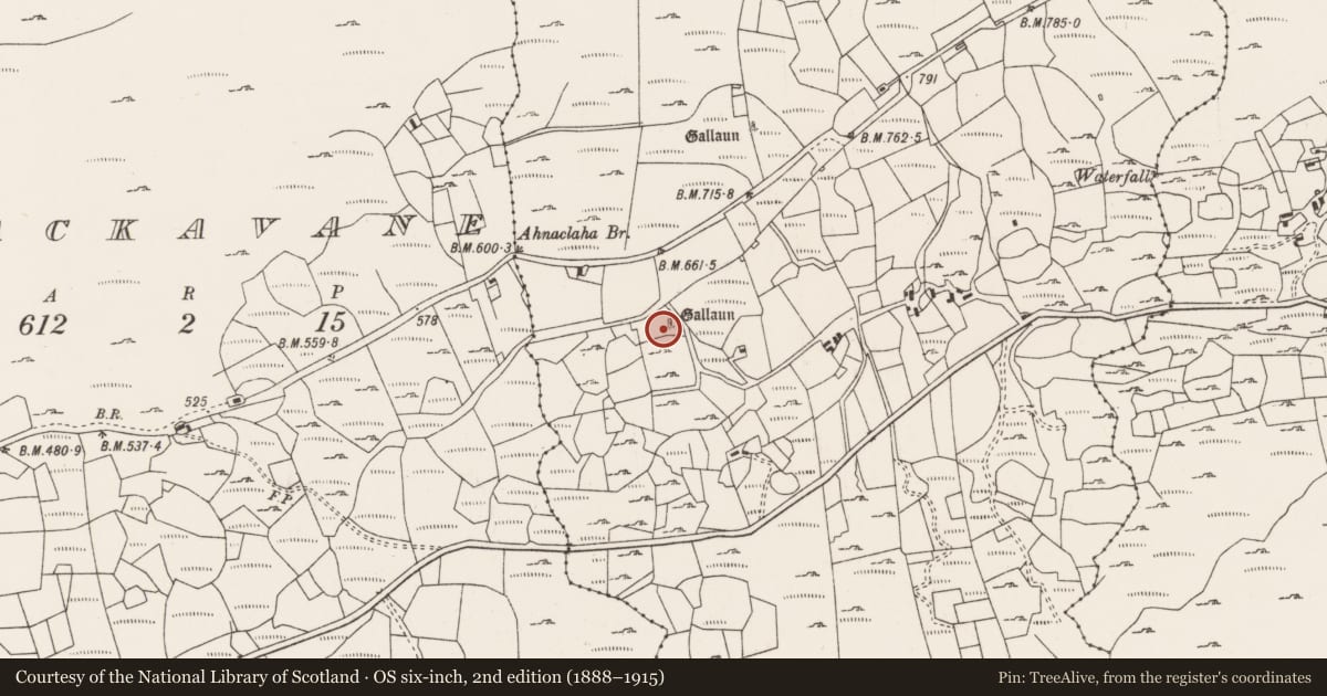 Ordnance Survey six-inch map, 2nd edition (1888–1915) covering the location of Standing stone, Kealagowlane, County Cork, with a pin at the register's coordinates