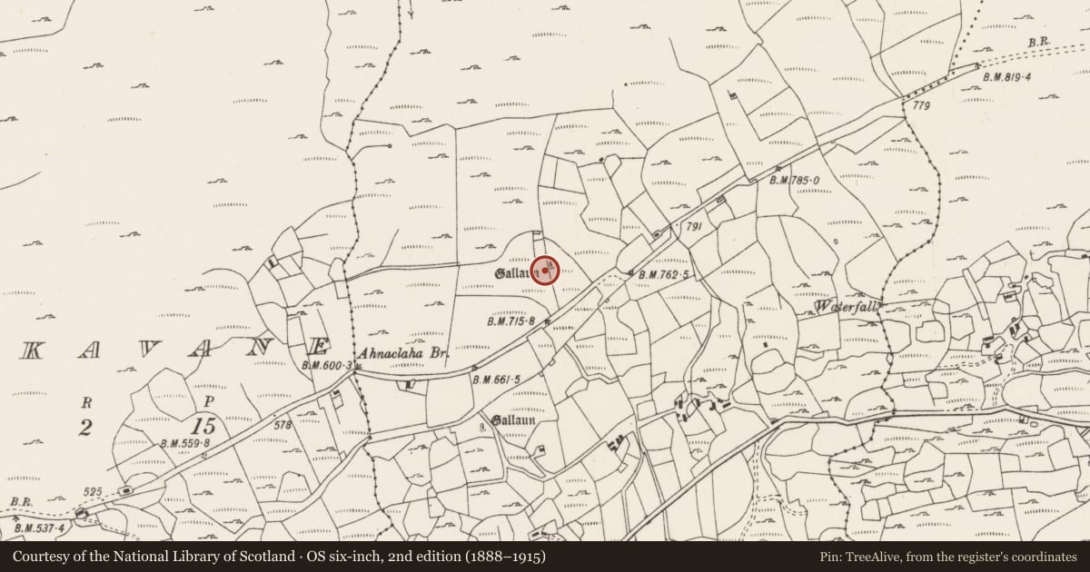 Ordnance Survey six-inch map, 2nd edition (1888–1915) covering the location of Standing stone, Kealagowlane, County Cork, with a pin at the register's coordinates