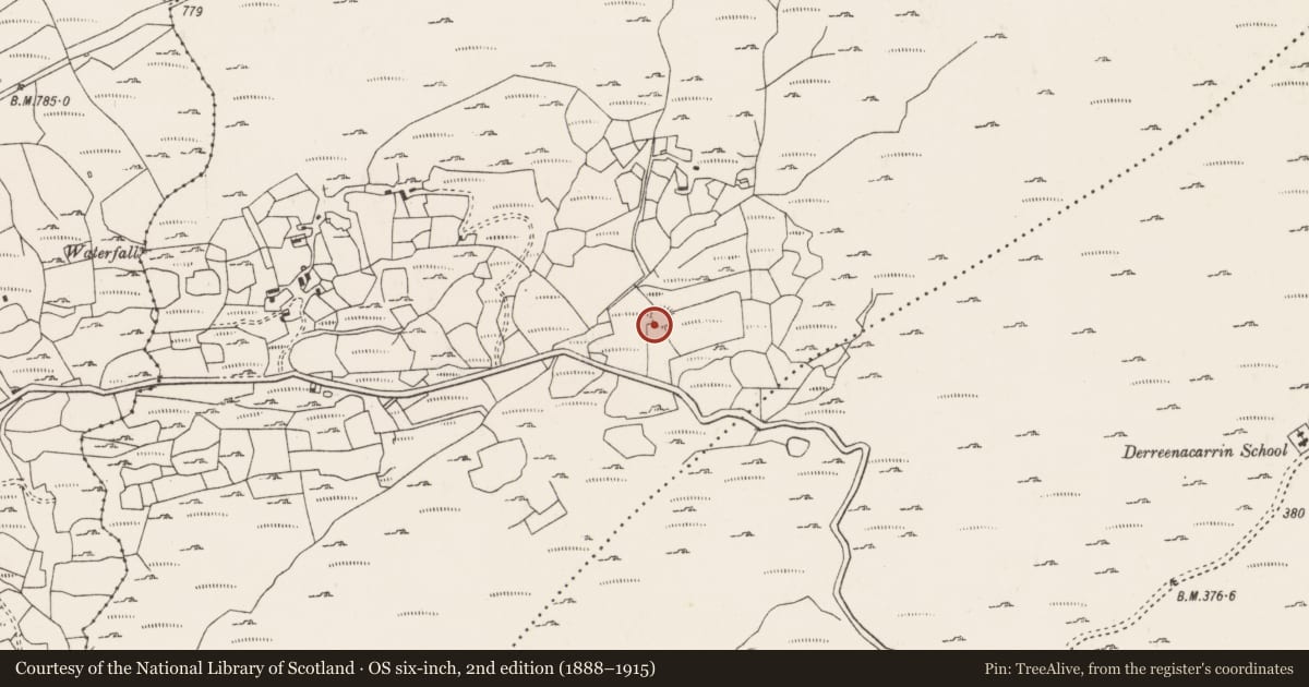 Ordnance Survey six-inch map, 2nd edition (1888–1915) covering the location of Ringfort - cashel, Tooreennagrena, County Cork, with a pin at the register's coordinates
