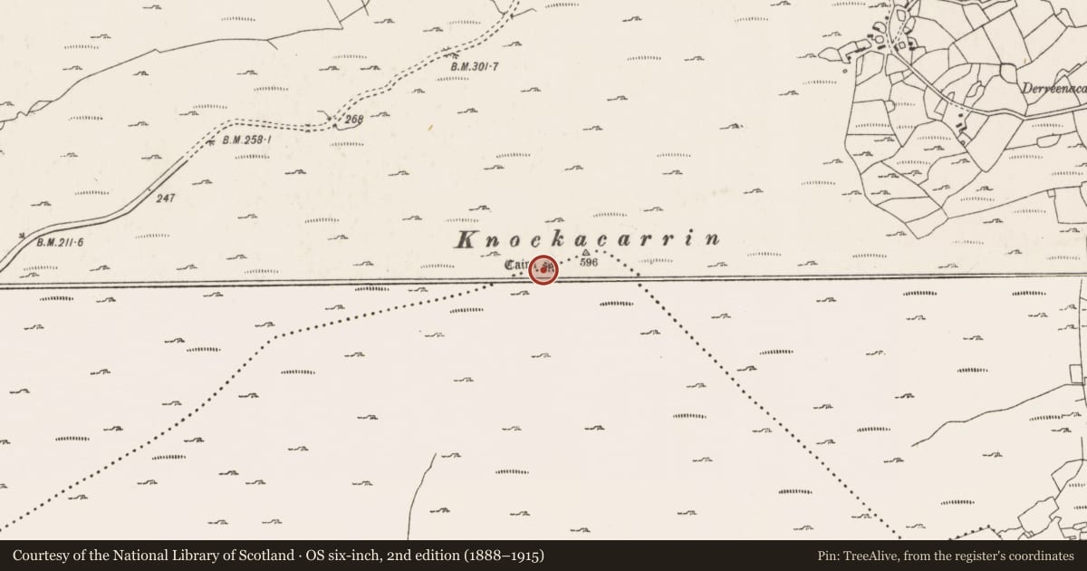 Ordnance Survey six-inch map, 2nd edition (1888–1915) covering the location of Cairn - unclassified, Derreenacarrin, County Cork, with a pin at the register's coordinates