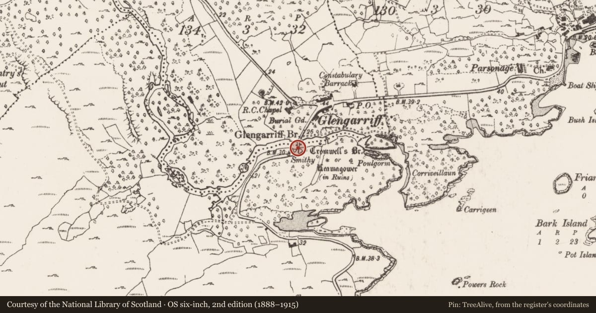 Ordnance Survey six-inch map, 2nd edition (1888–1915) covering the location of Bridge, Shrone, County Cork, with a pin at the register's coordinates