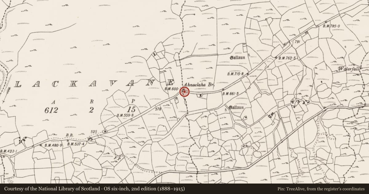 Ordnance Survey six-inch map, 2nd edition (1888–1915) covering the location of Bridge, Lackavane, County Cork, with a pin at the register's coordinates
