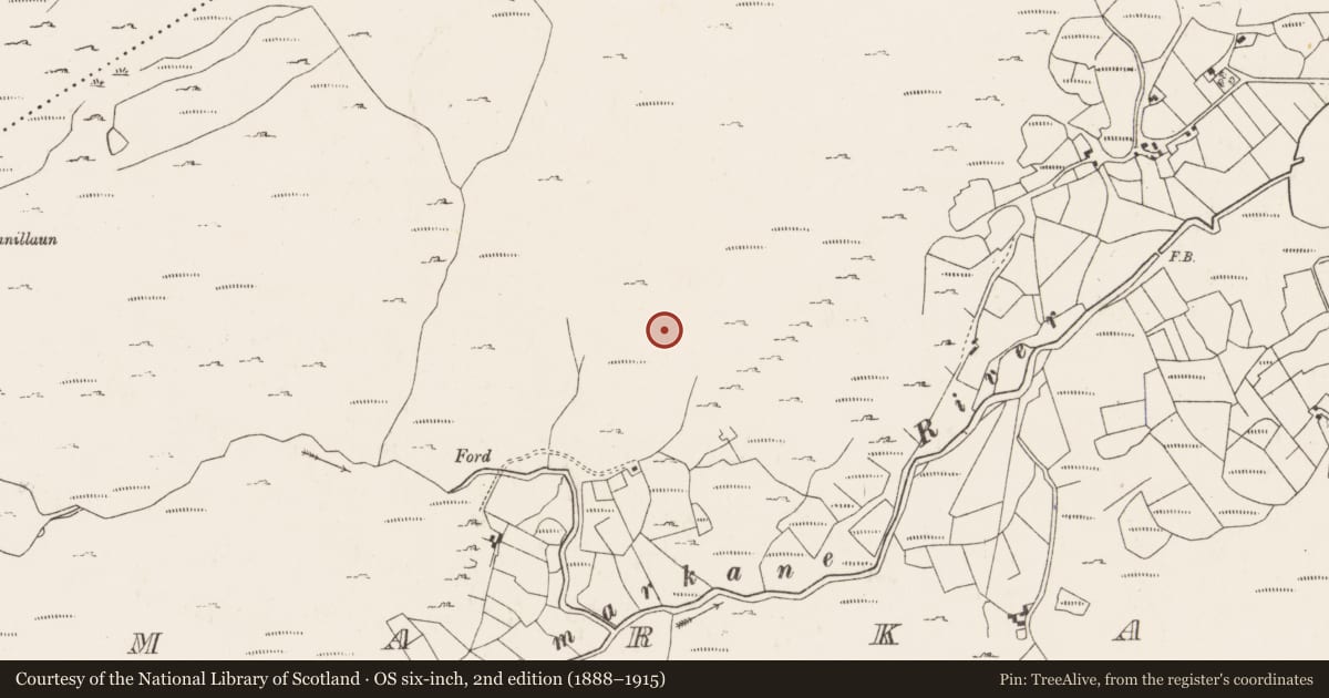 Ordnance Survey six-inch map, 2nd edition (1888–1915) covering the location of Field boundary, Coomarkane, County Cork, with a pin at the register's coordinates