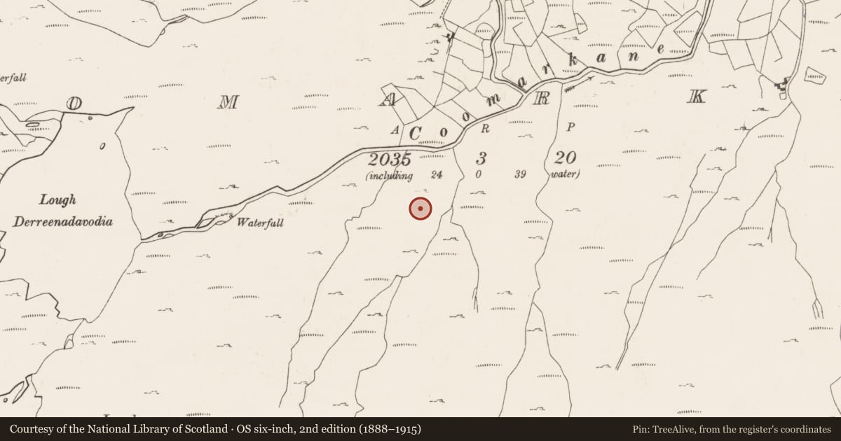 Ordnance Survey six-inch map, 2nd edition (1888–1915) covering the location of Hut site, Coomarkane, County Cork, with a pin at the register's coordinates