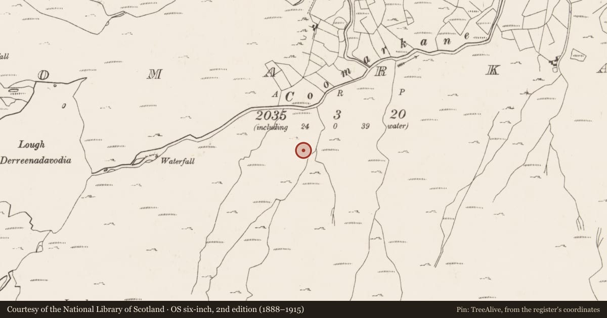 Ordnance Survey six-inch map, 2nd edition (1888–1915) covering the location of Enclosure, Coomarkane, County Cork, with a pin at the register's coordinates