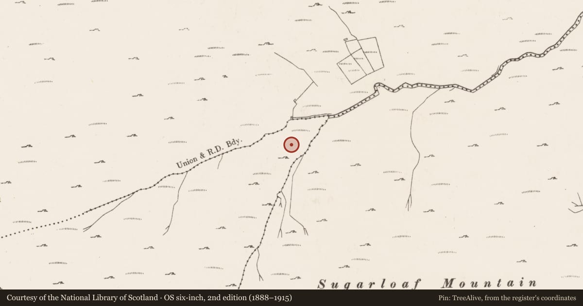 Ordnance Survey six-inch map, 2nd edition (1888–1915) covering the location of Hut site, Lackavane, County Cork, with a pin at the register's coordinates