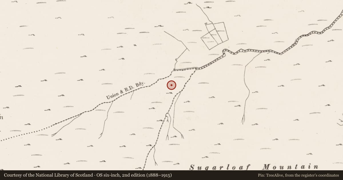 Ordnance Survey six-inch map, 2nd edition (1888–1915) covering the location of Hut site, Lackavane, County Cork, with a pin at the register's coordinates