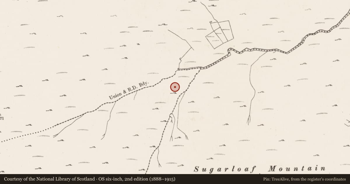 Ordnance Survey six-inch map, 2nd edition (1888–1915) covering the location of Hut site, Lackavane, County Cork, with a pin at the register's coordinates