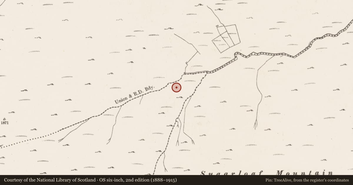 Ordnance Survey six-inch map, 2nd edition (1888–1915) covering the location of Hut site, Lackavane, County Cork, with a pin at the register's coordinates