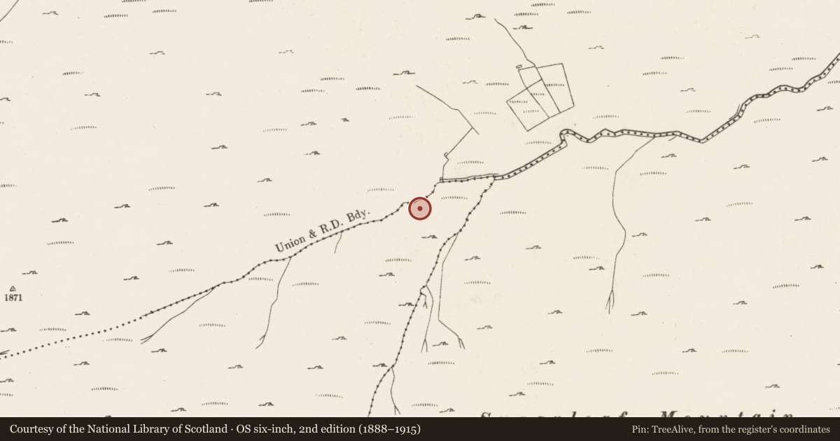Ordnance Survey six-inch map, 2nd edition (1888–1915) covering the location of Hut site, Lackavane, County Cork, with a pin at the register's coordinates