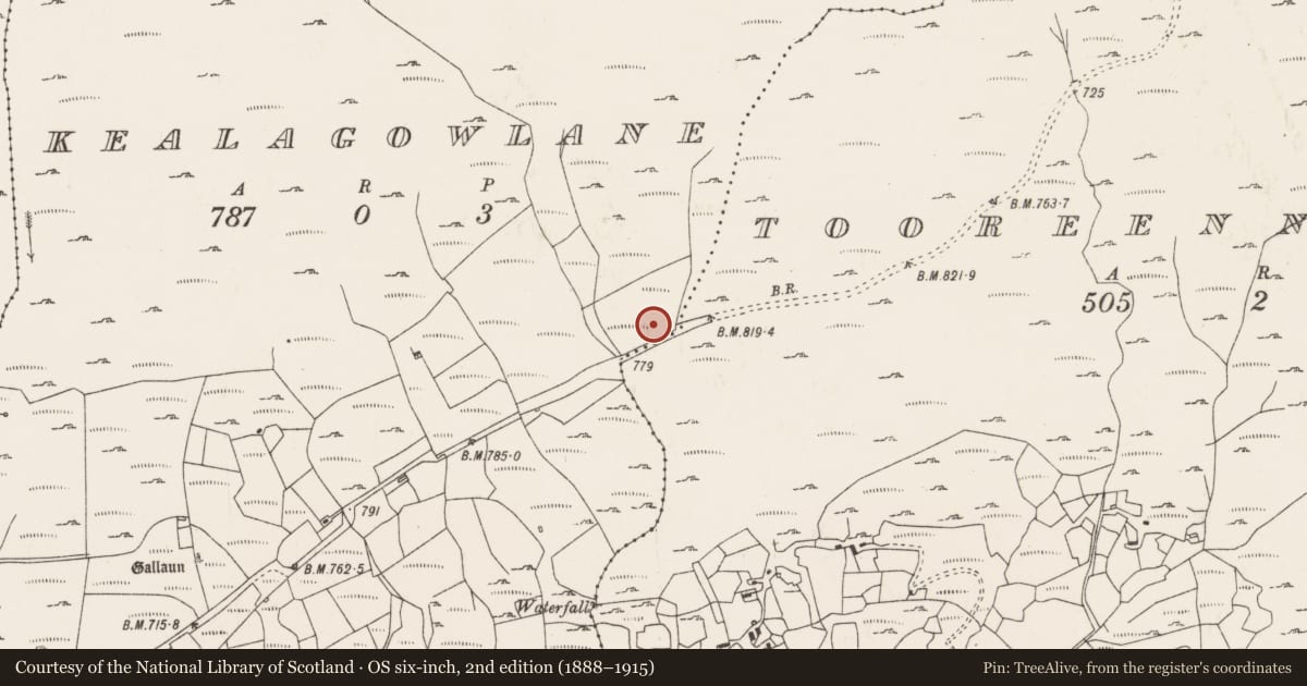 Ordnance Survey six-inch map, 2nd edition (1888–1915) covering the location of Stone circle - multiple-stone, Kealagowlane, County Cork, with a pin at the register's coordinates