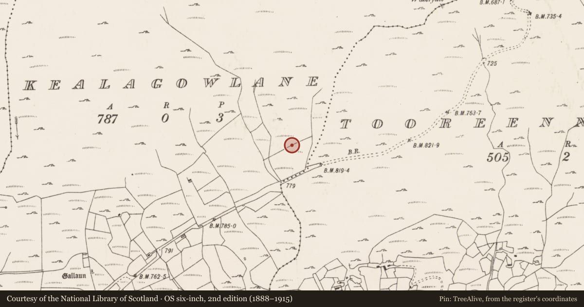 Ordnance Survey six-inch map, 2nd edition (1888–1915) covering the location of Cairn - unclassified, Kealagowlane, County Cork, with a pin at the register's coordinates