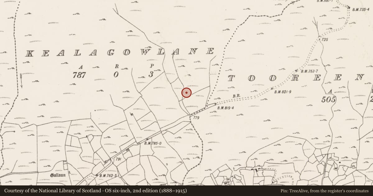 Ordnance Survey six-inch map, 2nd edition (1888–1915) covering the location of Burnt mound, Kealagowlane, County Cork, with a pin at the register's coordinates