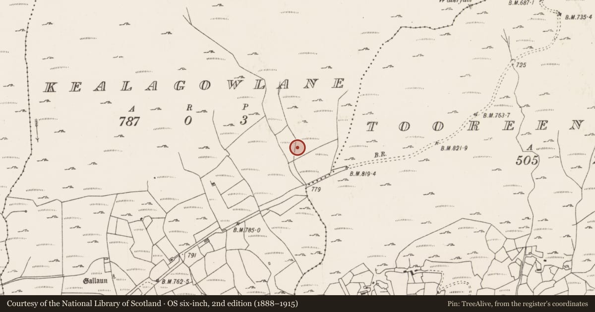 Ordnance Survey six-inch map, 2nd edition (1888–1915) covering the location of Burnt mound, Kealagowlane, County Cork, with a pin at the register's coordinates