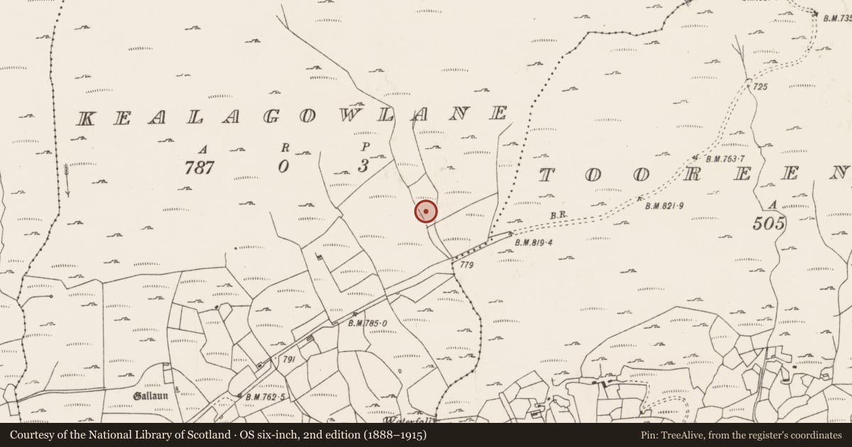 Ordnance Survey six-inch map, 2nd edition (1888–1915) covering the location of Fulacht fia, Kealagowlane, County Cork, with a pin at the register's coordinates
