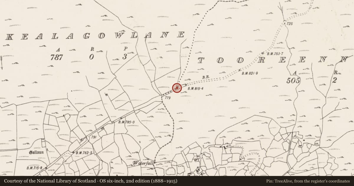 Ordnance Survey six-inch map, 2nd edition (1888–1915) covering the location of Field boundary, Kealagowlane, Tooreennagrena, County Cork, with a pin at the register's coordinates