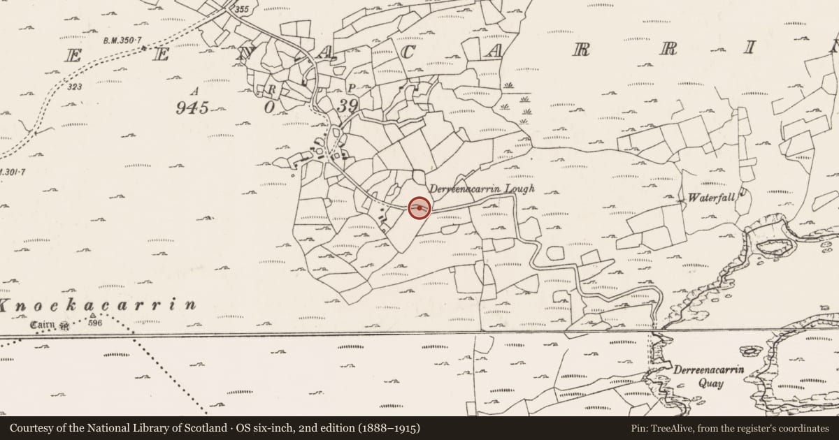 Ordnance Survey six-inch map, 2nd edition (1888–1915) covering the location of Penitential station, Derreenacarrin, County Cork, with a pin at the register's coordinates