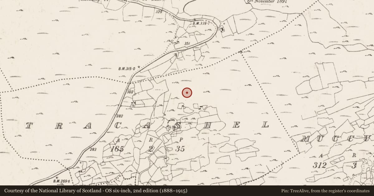 Ordnance Survey six-inch map, 2nd edition (1888–1915) covering the location of Standing stone, Tracashel, County Cork, with a pin at the register's coordinates