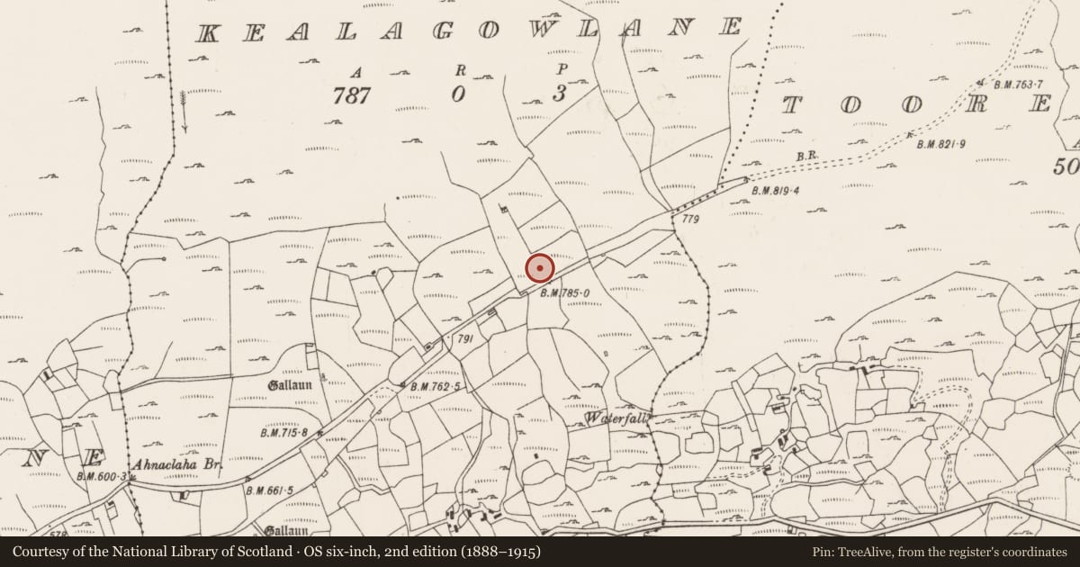 Ordnance Survey six-inch map, 2nd edition (1888–1915) covering the location of Hut site, Kealagowlane, County Cork, with a pin at the register's coordinates
