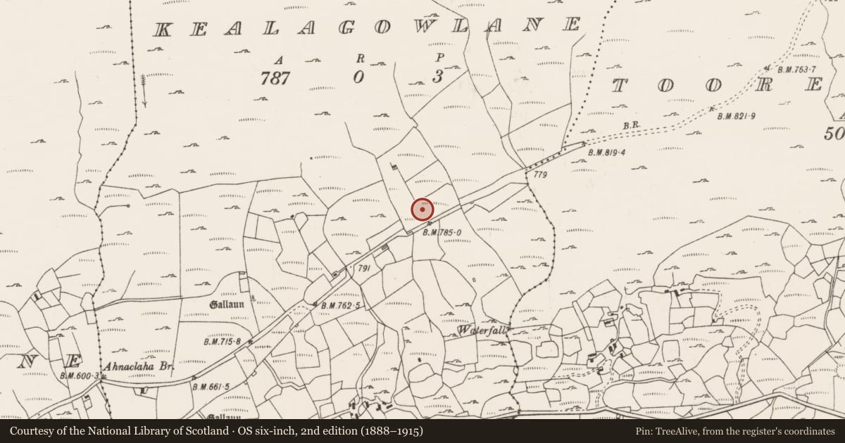 Ordnance Survey six-inch map, 2nd edition (1888–1915) covering the location of Hut site, Kealagowlane, County Cork, with a pin at the register's coordinates