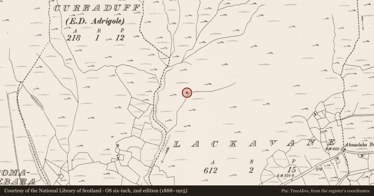 Ordnance Survey six-inch map, 2nd edition (1888–1915) covering the location of Burnt mound, Lackavane, County Cork, with a pin at the register's coordinates
