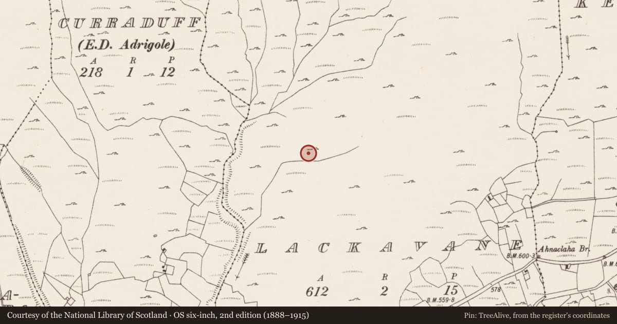 Ordnance Survey six-inch map, 2nd edition (1888–1915) covering the location of Structure, Lackavane, County Cork, with a pin at the register's coordinates