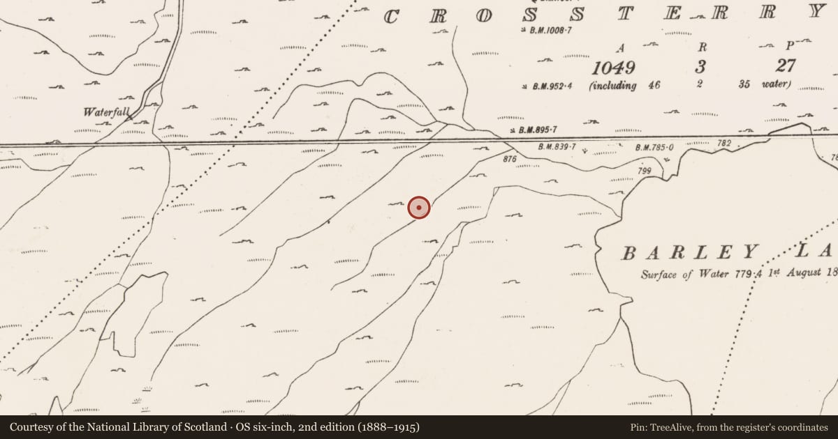 Ordnance Survey six-inch map, 2nd edition (1888–1915) covering the location of Hut site, Crossterry West, County Cork, with a pin at the register's coordinates
