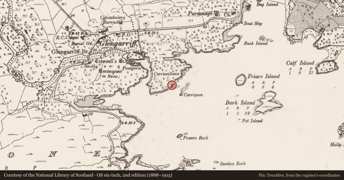 Ordnance Survey six-inch map, 2nd edition (1888–1915) covering the location of Midden, Monteensudder, County Cork, with a pin at the register's coordinates