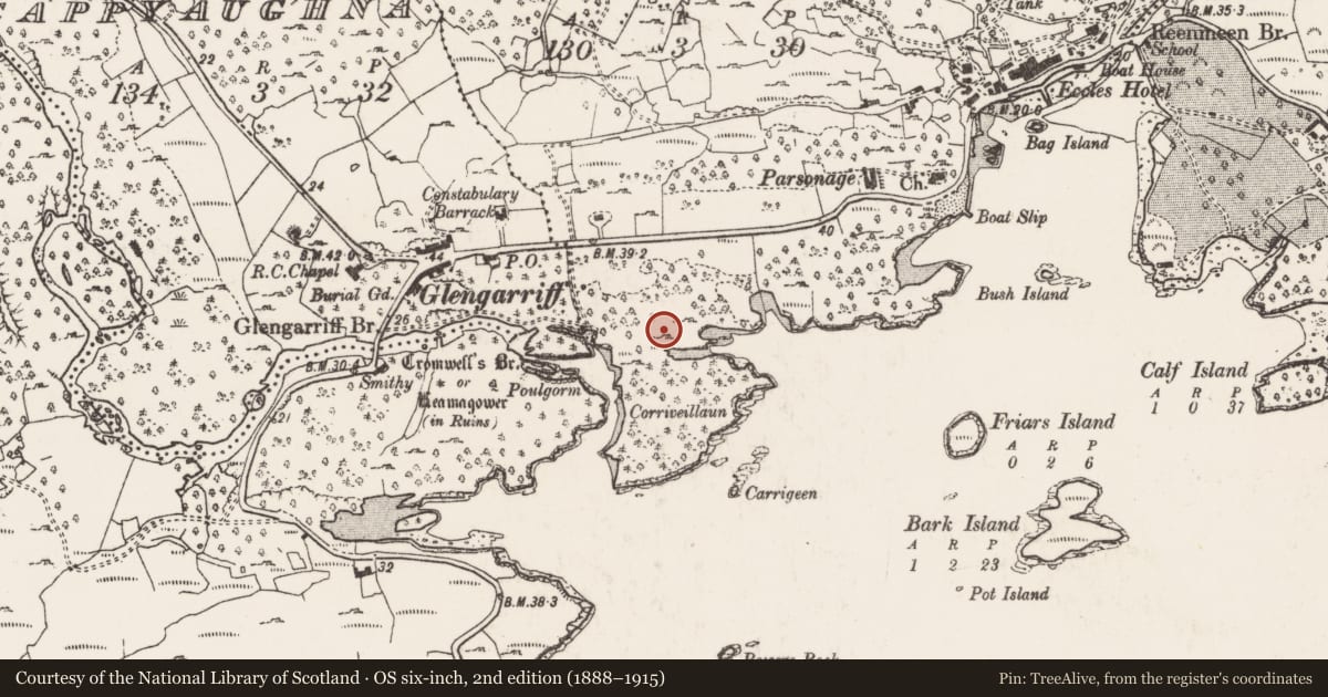 Ordnance Survey six-inch map, 2nd edition (1888–1915) covering the location of Midden, Monteensudder, County Cork, with a pin at the register's coordinates