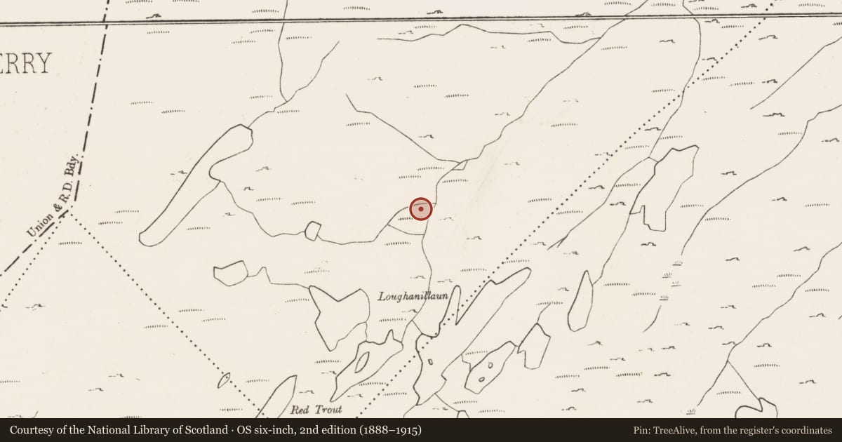Ordnance Survey six-inch map, 2nd edition (1888–1915) covering the location of Hut site, Rougham, County Cork, with a pin at the register's coordinates