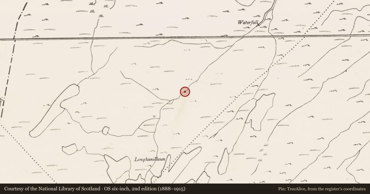 Ordnance Survey six-inch map, 2nd edition (1888–1915) covering the location of Hut site, Rougham, County Cork, with a pin at the register's coordinates
