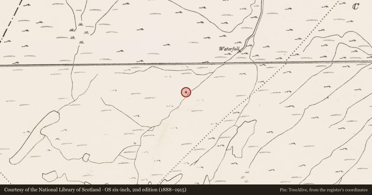 Ordnance Survey six-inch map, 2nd edition (1888–1915) covering the location of Hut site, Rougham, County Cork, with a pin at the register's coordinates