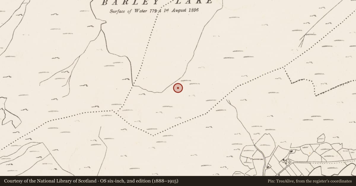 Ordnance Survey six-inch map, 2nd edition (1888–1915) covering the location of Platform, Derreenboy Upper, County Cork, with a pin at the register's coordinates