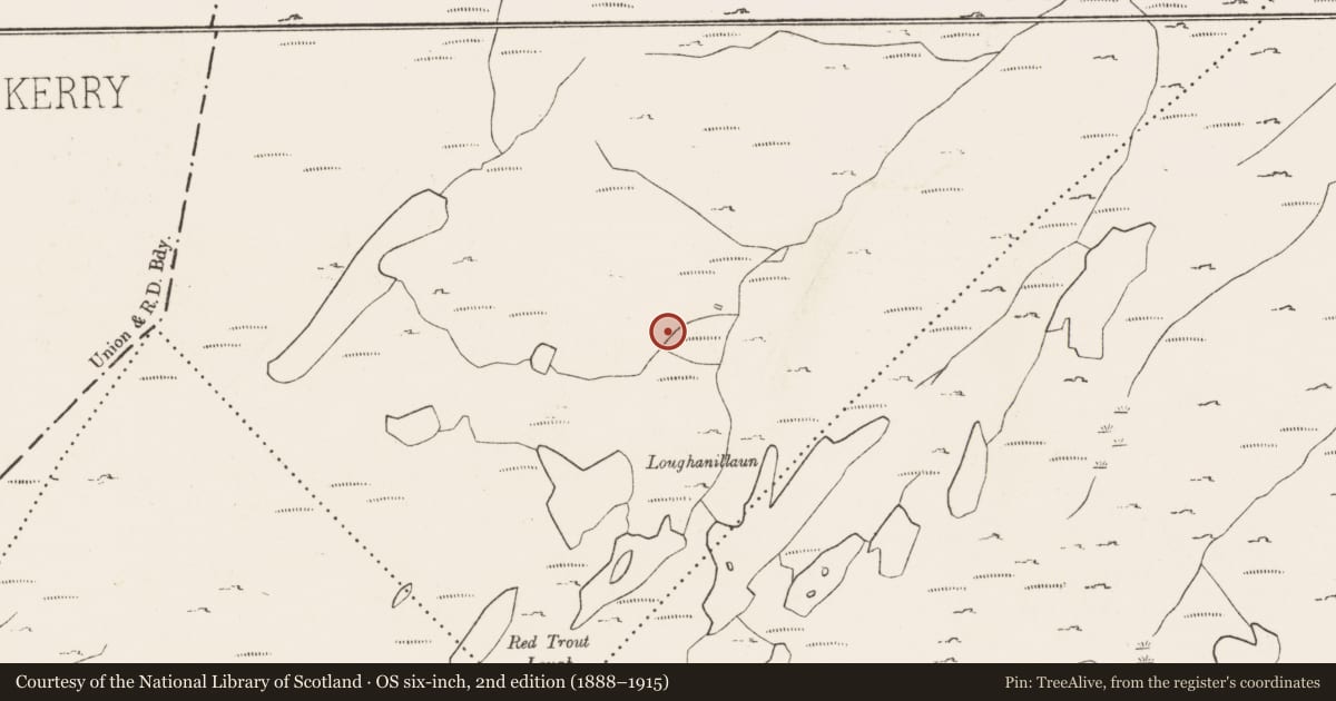 Ordnance Survey six-inch map, 2nd edition (1888–1915) covering the location of Hut site, Rougham, County Cork, with a pin at the register's coordinates