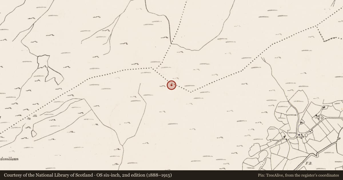 Ordnance Survey six-inch map, 2nd edition (1888–1915) covering the location of Field boundary, County Cork, with a pin at the register's coordinates