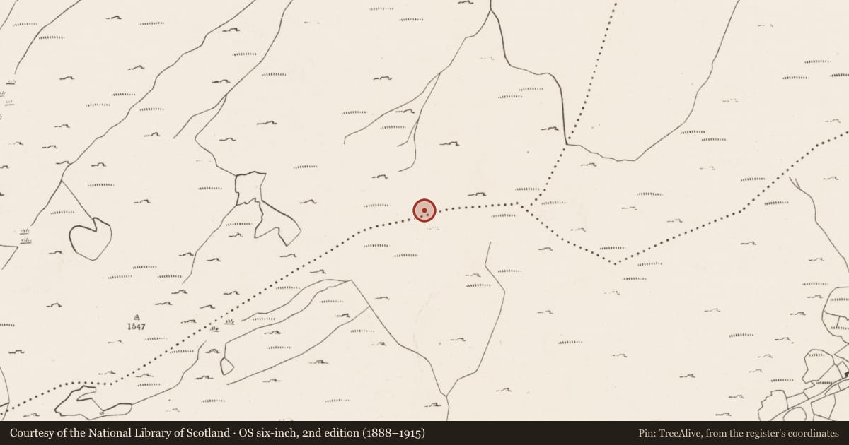 Ordnance Survey six-inch map, 2nd edition (1888–1915) covering the location of Hut site, Crossterry West, County Cork, with a pin at the register's coordinates