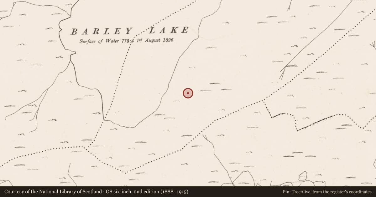 Ordnance Survey six-inch map, 2nd edition (1888–1915) covering the location of Field boundary, Derreenboy Upper, County Cork, with a pin at the register's coordinates
