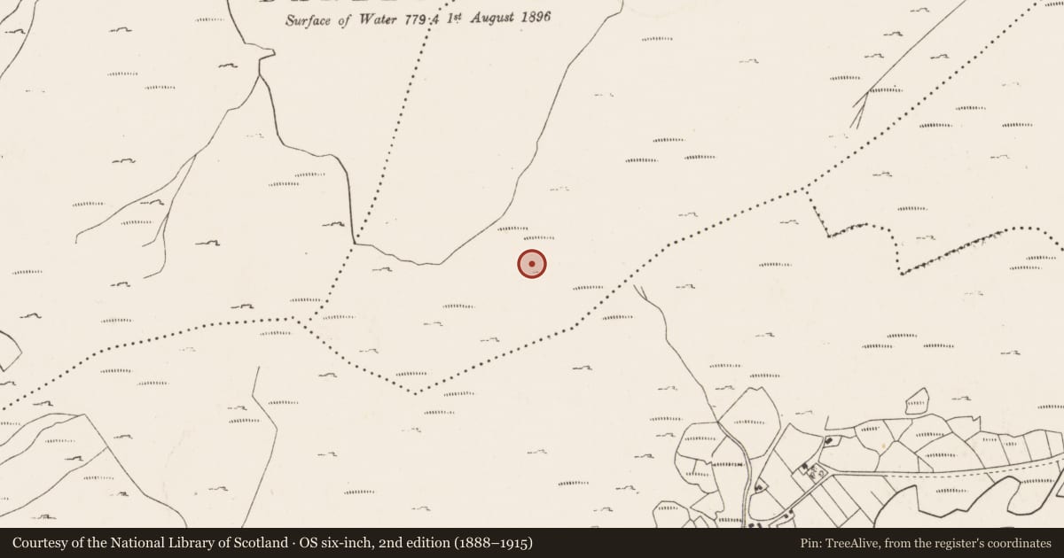 Ordnance Survey six-inch map, 2nd edition (1888–1915) covering the location of Hut site, Derreenboy Upper, County Cork, with a pin at the register's coordinates