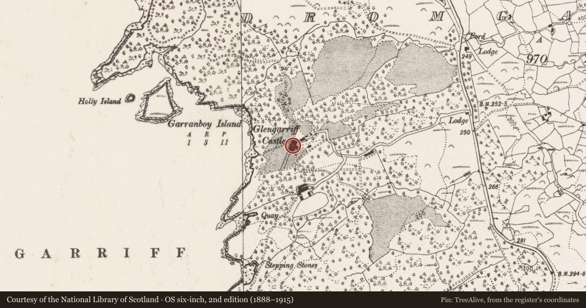 Ordnance Survey six-inch map, 2nd edition (1888–1915) covering the location of Country house, Dromgarriff, County Cork, with a pin at the register's coordinates