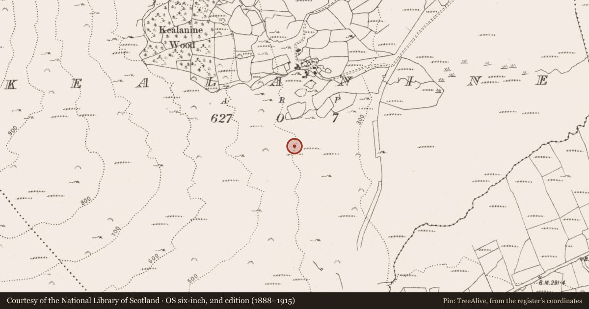 Ordnance Survey six-inch map, 2nd edition (1888–1915) covering the location of Cist, Kealanine, County Cork, with a pin at the register's coordinates