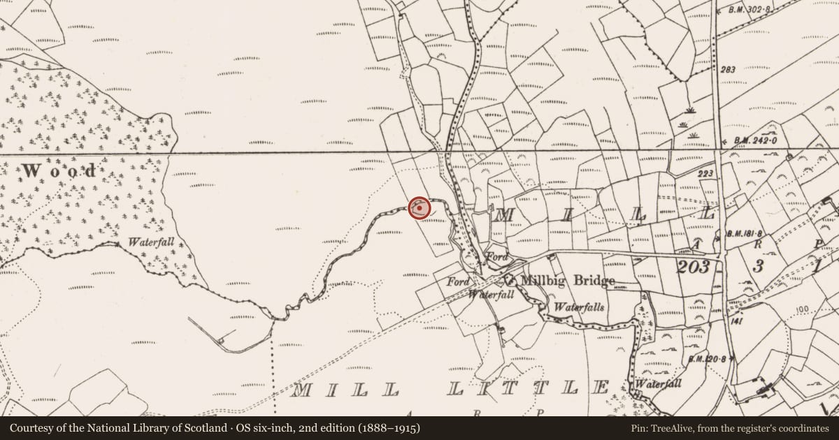 Ordnance Survey six-inch map, 2nd edition (1888–1915) covering the location of Boulder-burial, Mill Little, County Cork, with a pin at the register's coordinates