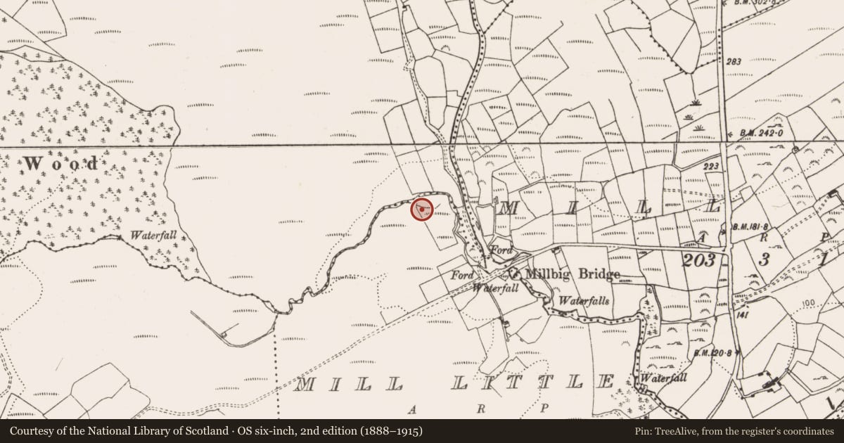 Ordnance Survey six-inch map, 2nd edition (1888–1915) covering the location of Boulder-burial, Mill Little, County Cork, with a pin at the register's coordinates