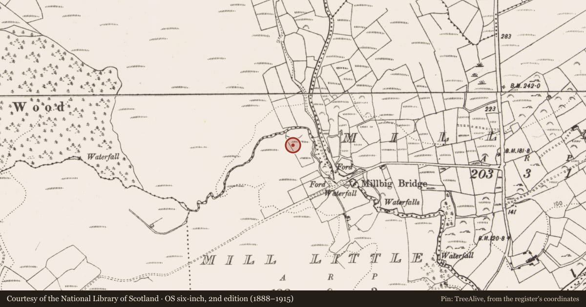 Ordnance Survey six-inch map, 2nd edition (1888–1915) covering the location of Boulder-burial, Mill Little, County Cork, with a pin at the register's coordinates