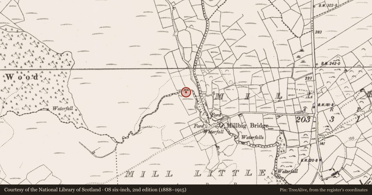 Ordnance Survey six-inch map, 2nd edition (1888–1915) covering the location of Stone circle - five-stone, Mill Little, County Cork, with a pin at the register's coordinates