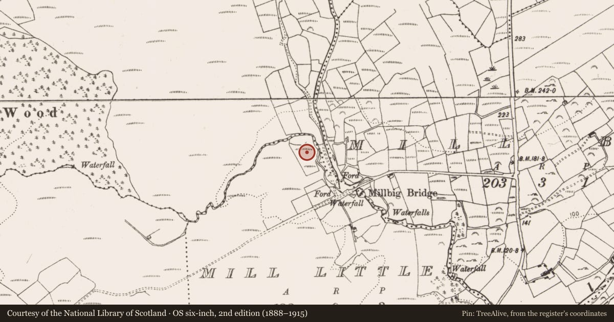 Ordnance Survey six-inch map, 2nd edition (1888–1915) covering the location of Standing stone - pair, Mill Little, County Cork, with a pin at the register's coordinates